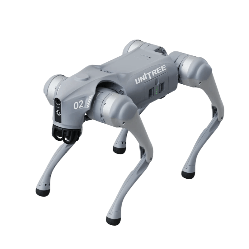 Quadruped Robots